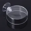 Fish Tank Feeder New Arrival Aquarium Shrimp Glass Feeding Bowl Clear Dish Tray