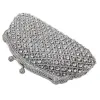 Boutique De FGG (in stock) Women Silver Clutch Evening Bags Wedding Cocktail Crystal Purses and Handbags Bridal Minaudiere Bag