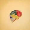 Hanreshe Creative Rainbow Brain Ematel Brooch Broch Pin Medical Anatomy Oncology Bijoux Badge Accessory Badge Gift For Doctor Nurse