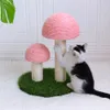 Cat de champignon mignon grattant post chaton chat gratteeur meuble de planche protéger la corde sisal chat grattant le jouet arbre grimpant