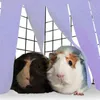 TASSEL Strip Small Pet Tält Hudout Guinea Pig Hamster Hedgehog Hammock Gardin Små djur som hänger säng hörn bo matthus