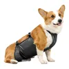 Abbigliamento per cani Avvolgimenti traspiranti Banda di pancia antidrittica copertura impermeabile per abiti da compagnia lavabile per cani forniture per cani