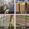 Grid vierkant gaas zwart plastic gaas plastic portemonnee seine voor het grootbrengen van kippen en eenden land hek kooi afvoernet