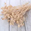 10/50/10/500pcs Wavy Rattan Reed Fragrância Refilha Refilha de Refiliação de Madeira Valor de Ratão de Madeira Difusor Sticks Decoração de casa Diy