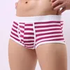 Underpants 2024 uomini slips sexy da uomo a strisce per respirare shorts shorts hombre de ropa interno