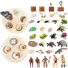 Enfants Montessori Animal Toys Life Cycle Board Set Insect Plant Animal Growth Cycle Biology Science Open-End Educational Toy