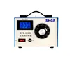 STG-500W Enfasspänningsregulator 220V AC-spänning Reglering Kontakt 0-300V Power Spänningsreglerande transformator 500W