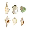 5st Natural Conch Seashell Ornaments for Pendant Shells Charms Halsband Pendant DIY SHELLS FÖR SMEYCH MAKTIDER