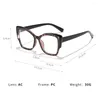 Sunglasses Big Frame Anti-UV Blue Rays Glasses Ultra-light Retro Leopard Print Computer Goggles PC Vision Care Myopia