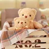 1pc 30cm kawaii en peluche ours en peluche jouet mignon en peluche de poupées animales molles pour enfants bébé enfants cadeau d'anniversaire Valentin 240329