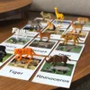 24pcs/set Montessori Toys для 3 -летних флеш -карт животные, соответствующие изучению английских детей ранняя образовательная практическая жизнь