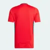 2024 2025 Wales soccer jerseys JAMES BALE 24 25 Welsh football shirts JOHNSON N.WILLIAMS RODON T.ROBERTS CABANGO LEVITT MOORE THOMAS Men kids kit jersey