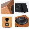 Subwoofer 6.5 inç yüksek güçlü subwoofer hoparlör ev pasif subwoofer ses diy DIY ev sineması hifi ateşi büyük manyetik çelik hoparlör 100w