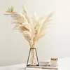 Pampas Decor d'herbe Couleur blanche Fluffy Fleurs séchées naturelles Bouquet blanchis Boho Style vintage pour le mariage Home Christmas Decor 2158L