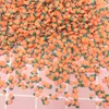 100 g/lotto 3D Nail art Carrot Polymer Clay DECOGIONI Nail Art Fetta fai -da -te Mini Accessori per la torta di telefoni Playcraft