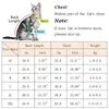 Cute Pet Cat Costume for Cats Winter Puppy Dog Clothes Hoodie Sphynx Katten Kedi Sweater mascotas Clothing Outfit disfraz gato