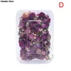 1 doos echte mix gedroogde bloemen voor hars sieraden droge planten geperste bloemen maken ambachtelijke diy accessoires