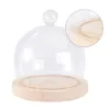 Platen glazen hoes bruiloftsvoorziening het bel jar display anti-stof dessert mini-decoratie hoge borosilicaat dienbladplanten