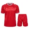 2024 Denemarken voetbaltrui Euro Cup Nationaal Team Home Red Away White Eriksen Christensen Jensen Braithwaite Dolberg 24 25 Player Version Football Shirt Men Kid Kit