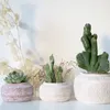 Nordic Stoneware Pot Ciment Flower Pot Retro Old Small Fresh Creative Succulent Gardening Modern Ins Wind Potted