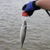 Mini pinces de pêche Grip Grip Aluminium Tongles d'eau salée Cutter Fish Fish Gripper Contrôleur Lure Fishing Tackle Tack Tool Equipment