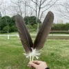 1pc rare plume naturel big plume flèche cheval aigle tail tail hair diy exorcism town house stade prop pro propage décoration