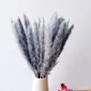 Gris Pampas Decor d'herbe Wit Wit Sèche Bouquet Artificiel Plantes Artificielles en gros de la maison de mariage Home Craft Supplies pour photo