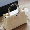 2022SSW Classic Mini rabat Caviar Top Handle Tapes sacs Calfskin Real Leather Multi Pochette Gold Metal Hardware Matelasse Crossbody