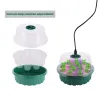 5 set di plastica Nursery Potto