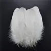 20pcs/lot white feasant Crafts for Crafts Duck Goose Feather