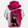 Dalmatan Quando ti ho visto sono caduto in felpe con cappuccio 3D Pallover unisex Pallover Funny Dog Hoodie Casual Street Tracksuit