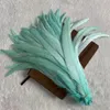 Rooster Tail Feather 100pcs / lot 25-45 cm Plumes Natural Cock Mint vert Brown DIY Vêtements Bijoux Accessoires Performance de scène