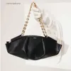 Lady Loeew Bag Spain Classic Bags New 2024 Paseo Chain Hobo Real Leather Shourdell Bag