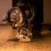 Topi dal suono elettronico giocattoli carichi di topi per gatti da gatto da compagnia con giocattoli cigolanti per gatti cuccioli di gattini