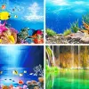 Aquarium Landscape Sticker Poster Fish Tank 3D Background Painting Sticker PVC Double-sided Ocean Sea Plants Backdrop Decor