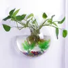 Ecologia acrílica pendurada montagem na parede Tanque de peixe vaso aquário decoração de planta decoração em casa decoração