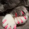 20 pcs Silicone Cat à ongles Soft Cat Pet Pet de chatte PAWS GAVAGING COURAGE COURCE PET Nail Pet Protecteur Couvercle de l'ongle avec ensemble de colle gratuite