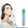 Nano Facial Mister, портативный прохладный туман -паровар для лиц. Удобный распылитель тумана для увлажнения лиц увлажняющий мини -USB -перезаряженный