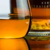 ISO International Standard Scotland Whisky Glass mit Deckelreisen tragbare Copita Nase Fels Gläsern Whisky Becher Weinbecher