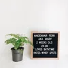 10 Inch Felt Letter Board Square Wooden Frame Baby Sign Numbers Characters Home Office Menu Message Boards Including 460 Letters