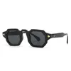 Goggle Classic Beach Wayfarer Eyewear Drive Marque Luxury et haute qualité avec des verres optiques polarisés en tête
