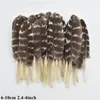 Petits plumes naturelles de dinde pour les bijoux de fabrication de bijoux 6 à 10 cm accessoires d'artisanat de bricolage Stripe Poulet Plumes Plumes