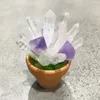 1pc Amethyst Stone Plantes en pot