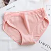 Mutandine da donna 10 pezzi Cotton Girls stampati brief di biancheria intima di grandi dimensioni traspirabili anti-bacteria