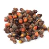 20/60PCS 3cm Artificial Mini Acorns, Fake Fruit Props Lifelike Oak Nut Plants Model Craft for Home Kitchen Table Decor