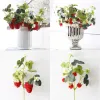 French Frambuesa Artificial Fake Strawberry Fruit Plant Flower Branch Bouquet Wedding Home Decor