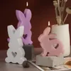 Schattige konijn dieren kaarsen epoxy siliconen schimmel diy ambachtelijke gipsauto gemonteerde wierook groeiende paashuisdecoratie