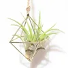 freestanding Hanging Planters Decorative Swinging Flower Basket Tillandsia Air Plants Holder Triangular Shaped Metal Rack