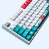 Accessories Coral Theme Keycaps Cherry Profile PBT Dyesublimated for MX Switches of 61 63 64 67 68 84 87 96 104 108 Mechanical Keyboards