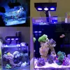 AquasanRise Full Spectrum Marine Recef Tank LED Light Coral Grow Branco Aquário Aquário Aquário